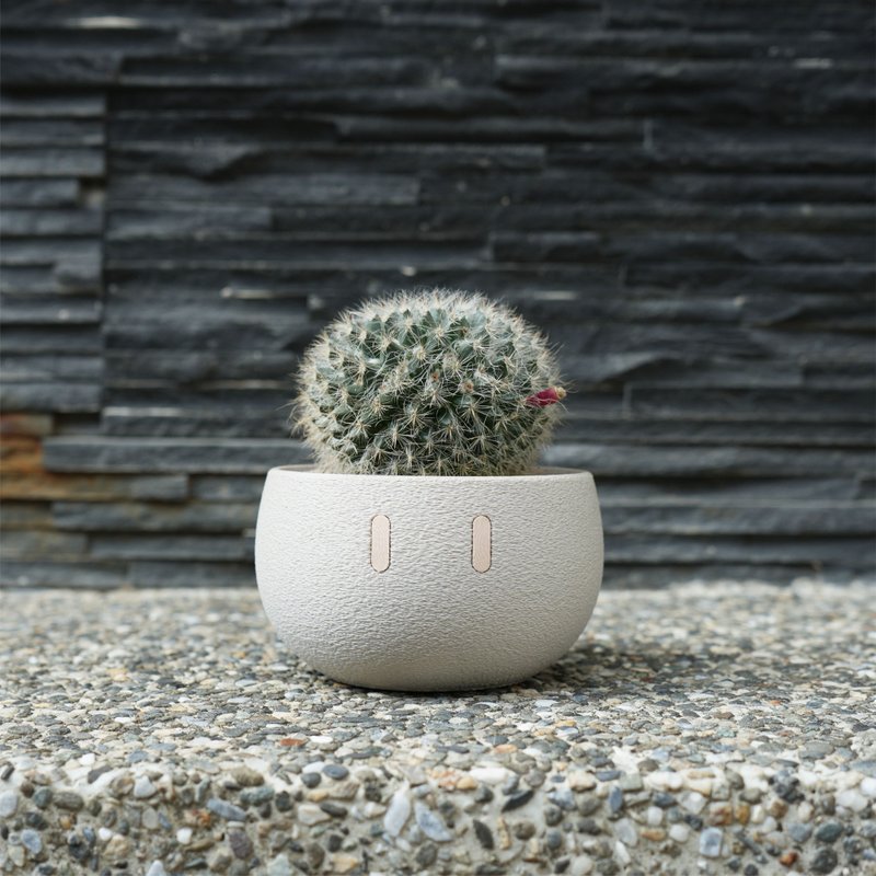 Mini_EMOO/盆栽/室内植物/多肉植物/盆器/植物/交换礼物/圣诞礼 - 植栽/盆栽 - 塑料 黑色