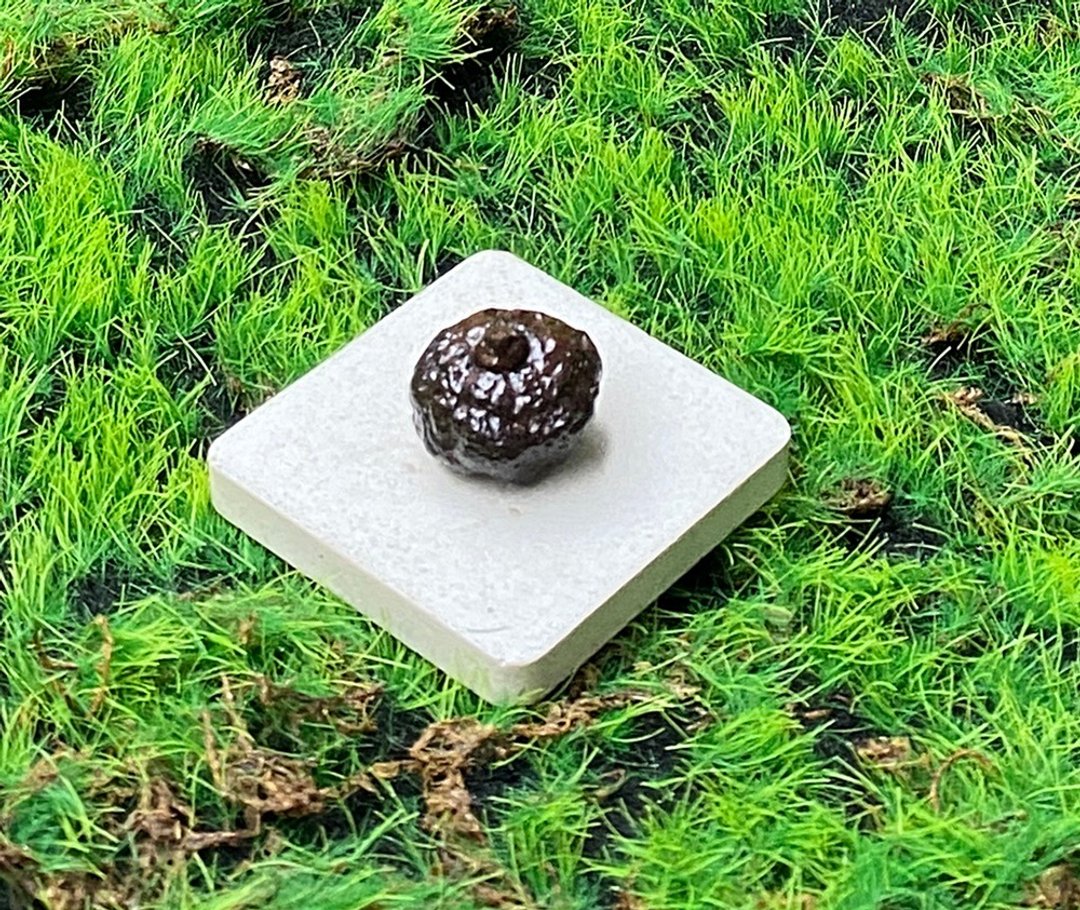 能量摆饰-精选天然埃及预言石可爱小南瓜造型原矿 快速出货 - 摆饰 - 石头 咖啡色