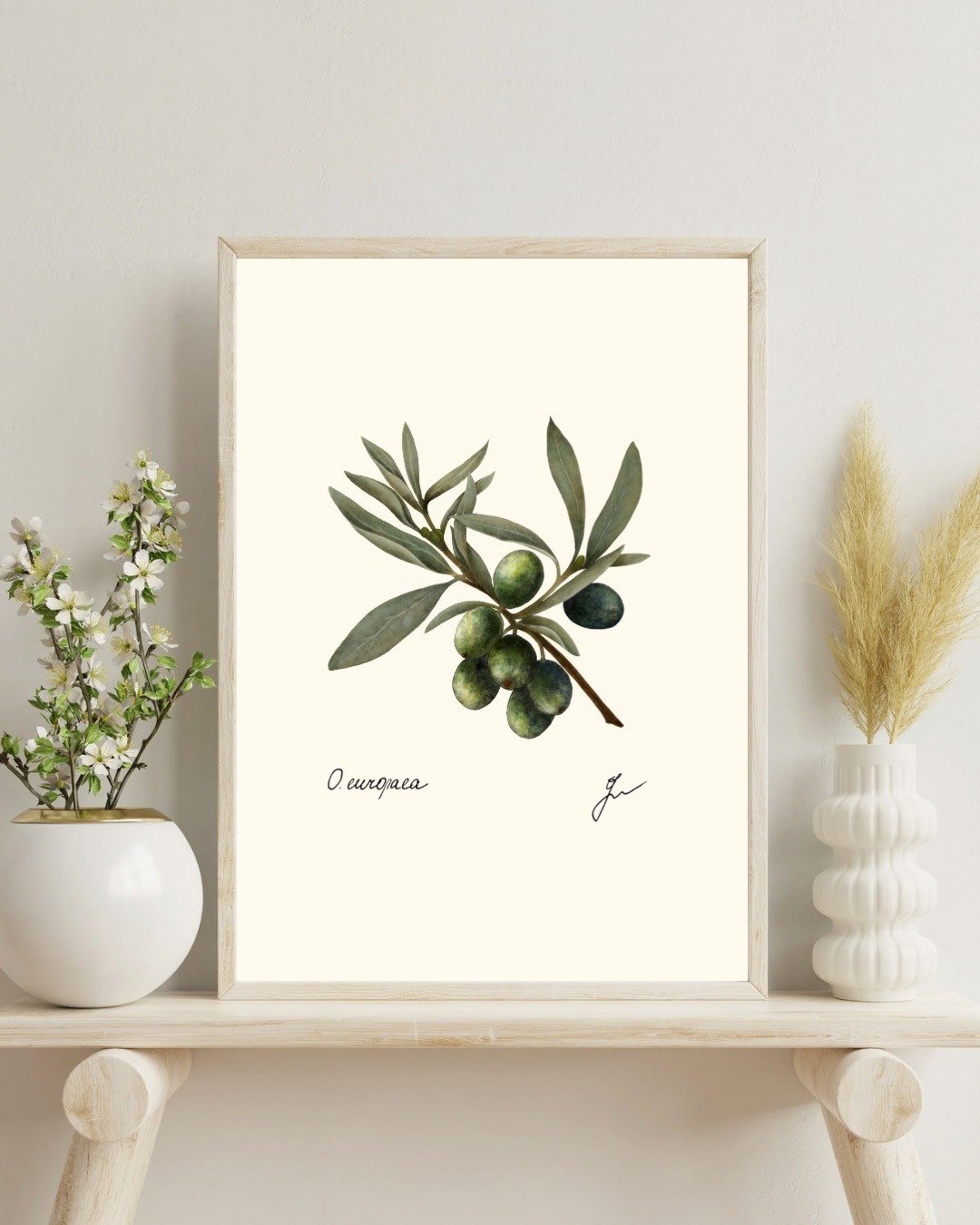 橄榄枝植物画 手绘植物挂画 - 电子手绘真人画像/绘画/插画 - 其他材质 