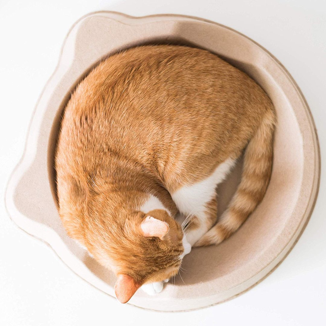 蛋塔猫窝窝 猫咪的最爱 - 床垫/笼子 - 纸 