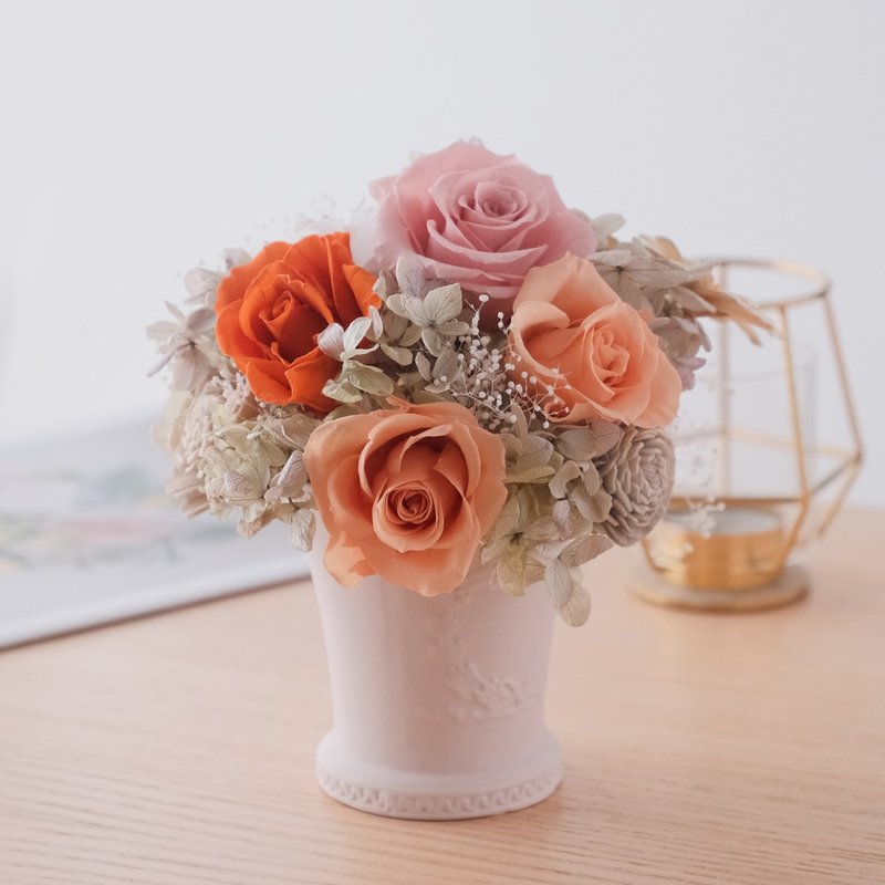 永生干燥盆花 - 干燥花/捧花 - 植物．花 粉红色