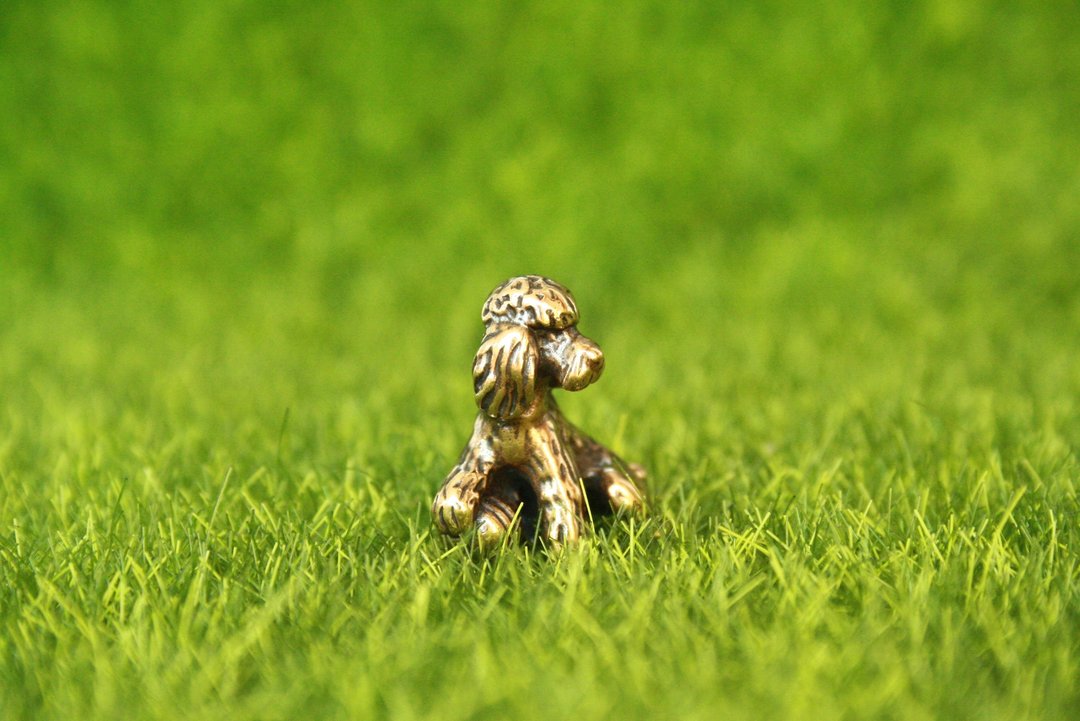 Poodle dog - miniature statuette of bronze, metal figurine - 摆饰 - 铜/黄铜 
