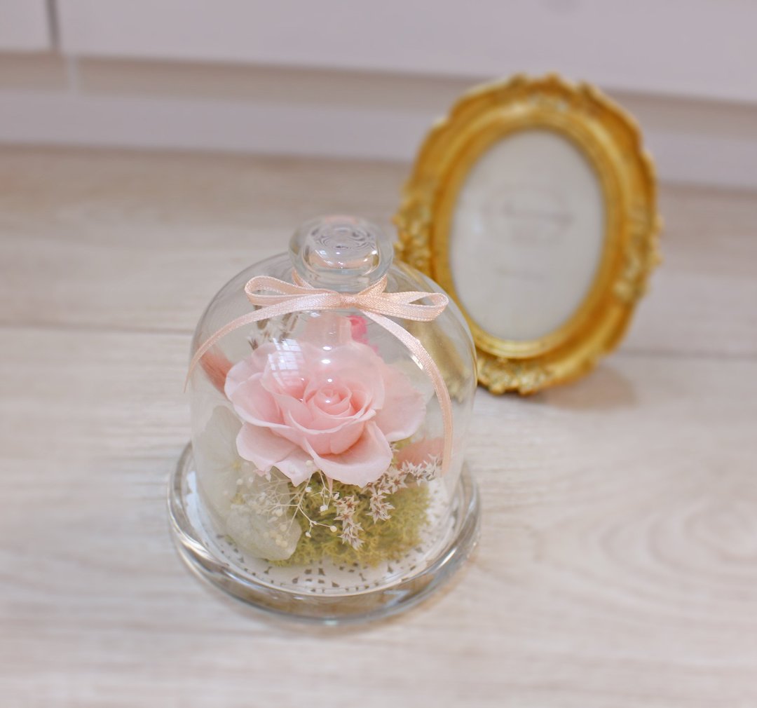 Flover芙拉设计 恒星之恋小桌花 不凋玫瑰 干燥花 玻璃糖果罩 永生 恒星花 不凋花 - 植栽/盆栽 - 其他材质 