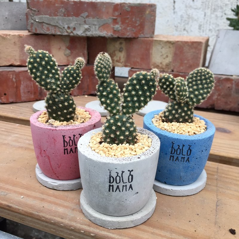 天圆-团扇系列-多肉植物 水泥盆栽组(含底座) 交换礼物 - 植栽/盆栽 - 纸 