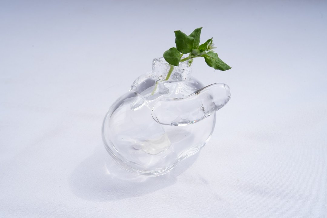兔子花瓶/2 - 花瓶/陶器 - 玻璃 透明