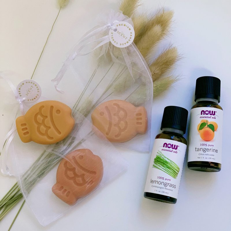 鲷鱼烧天然驱蚊砖 3粒装 - 香薰/精油/线香 - 蜡 