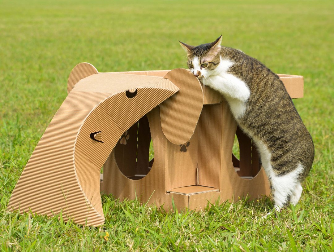 喵屋【迷城猫屋】在迷宫探险吧!!进击猫骑士 翻转玩具 翘翘板 设计品 - 玩具 - 纸 咖啡色