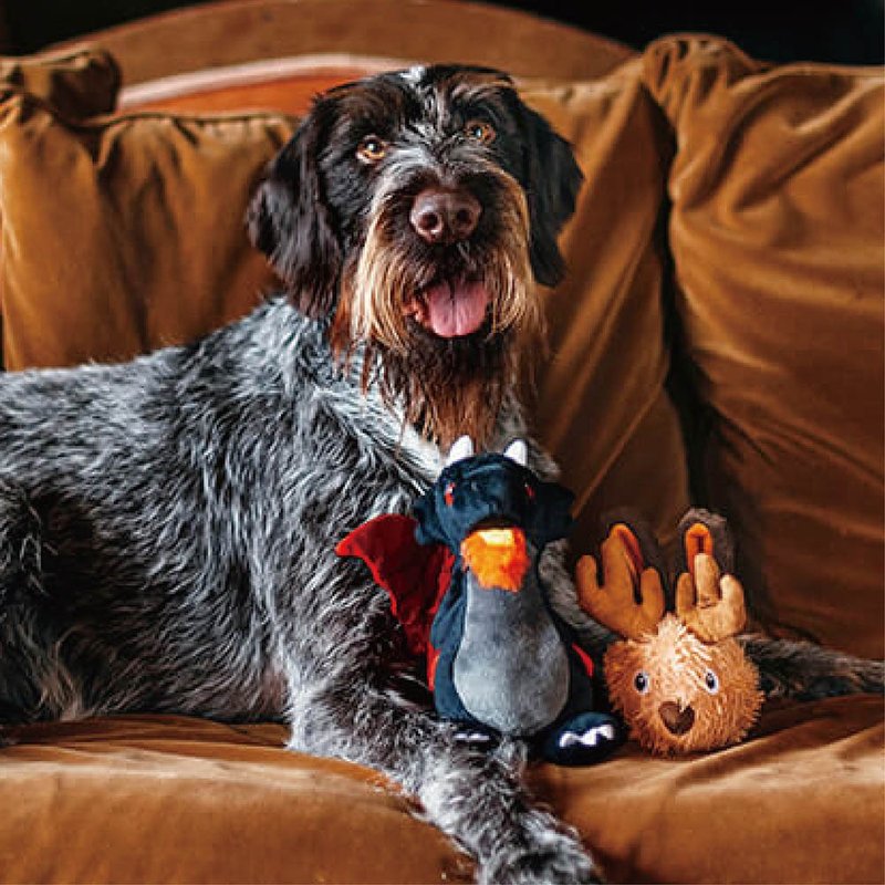 【狗狗玩具 传说怪兽 5件组】宠物  啾啾声 抗忧解压 - 玩具 - 环保材料 