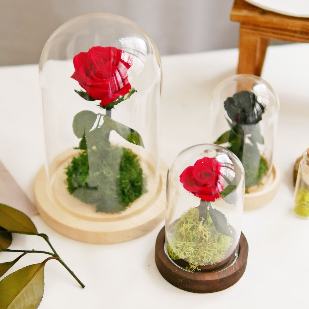 魔法玫瑰一号花盅 极度花燥 永生花 花礼 - 干燥花/捧花 - 植物．花 红色
