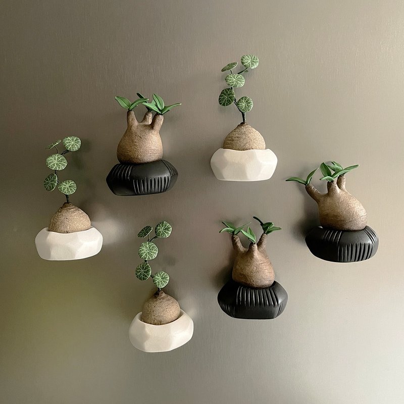 接单制作款 软陶黏土迷你块根植物磁铁 共两款。磁植系列 - 冰箱贴/磁贴 - 粘土 绿色