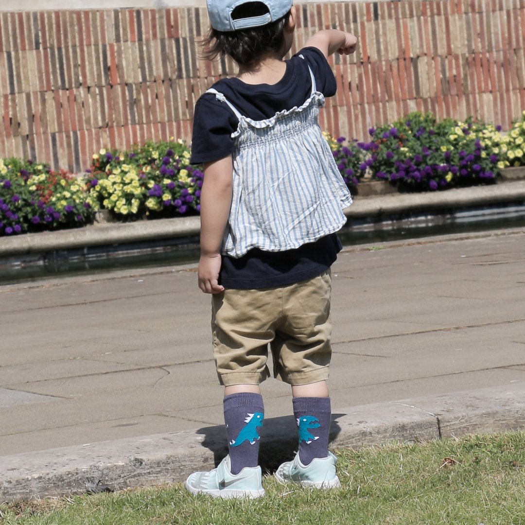 FUN.童袜、Kids Socks / 简约恐龙造型,设计袜-台湾制∣15-19 cm - 袜子 - 棉 灰色