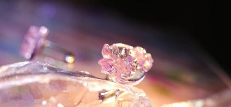 [Made to order] Smile cherry blossoms - 其他 - 其他材质 