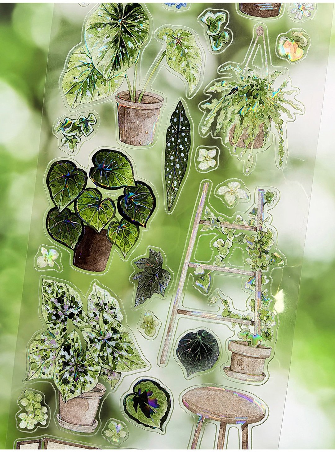 角落森林 OKMT绿色植物花园PET贝壳光水晶特油模切手帐胶带贴纸 - 纸胶带 - 塑料 绿色