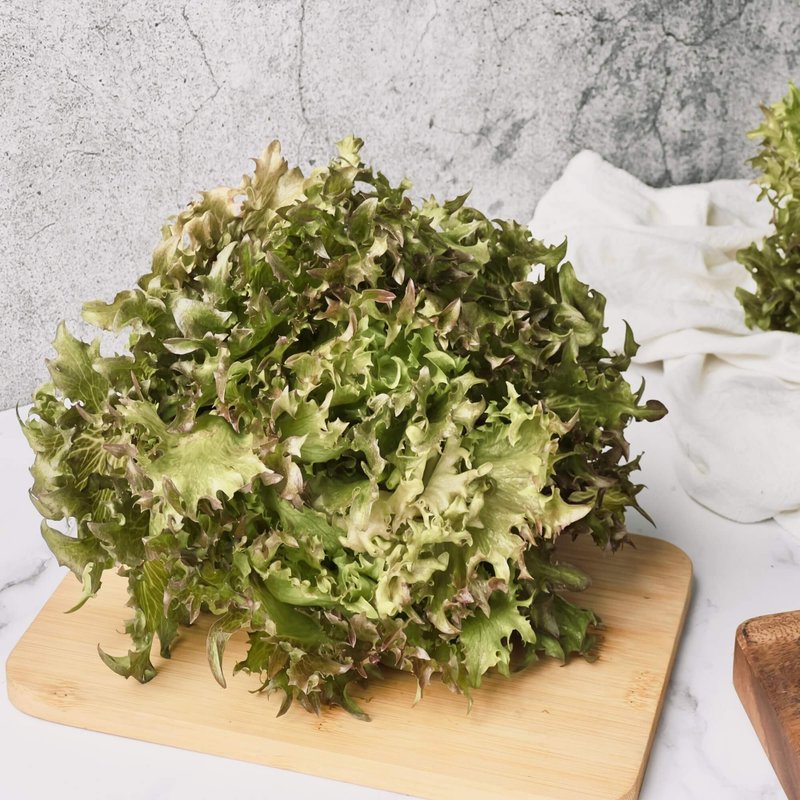 【绿十水耕生菜】红火焰150g、生菜、沙拉、莴苣、水耕蔬菜 - 其他 - 新鲜食材 