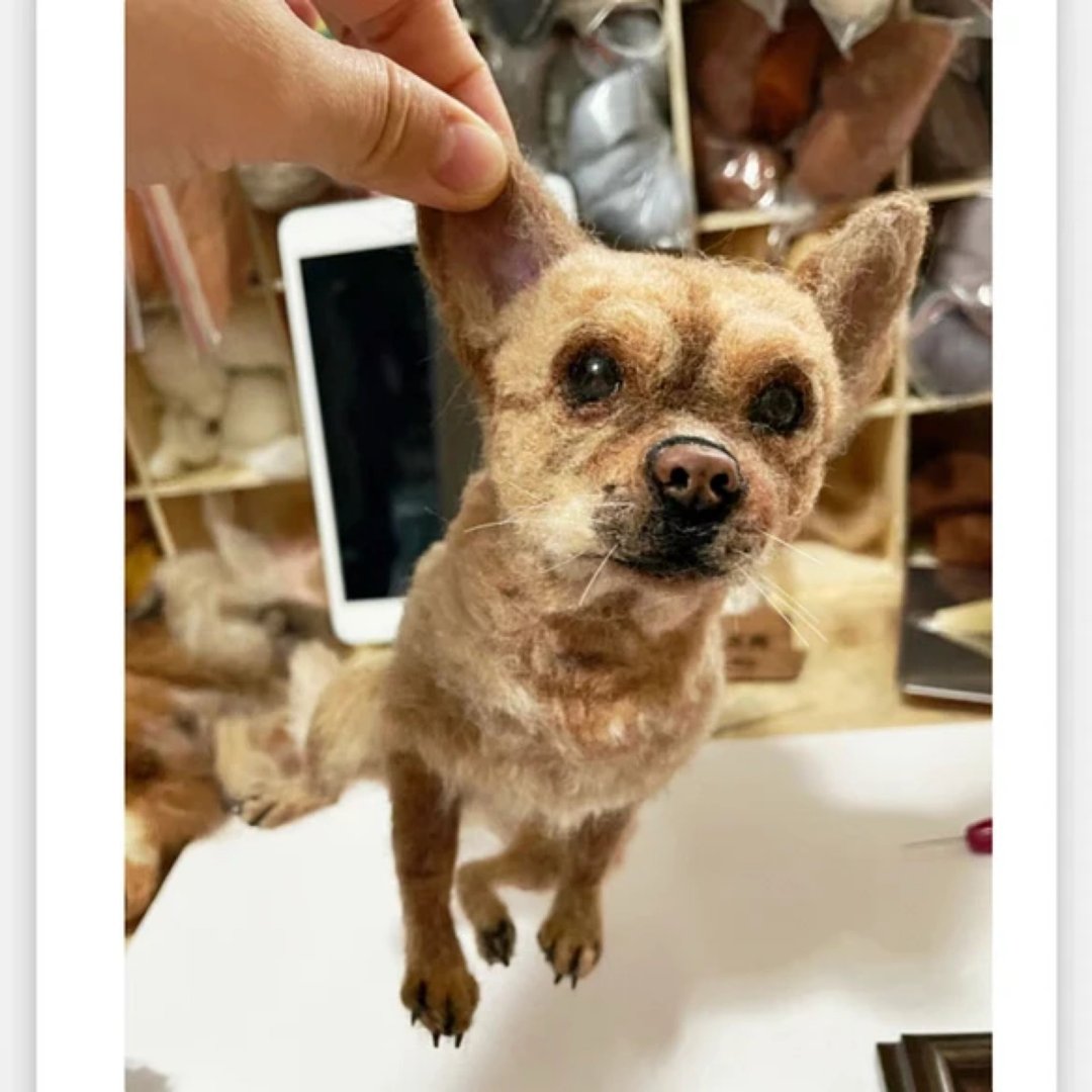 定制 逼真犬 毛孩 宠物 吉娃娃 羊毛毡 娃娃 似颜绘 纪念 狗狗 ,2 - 玩具 - 羊毛 多色