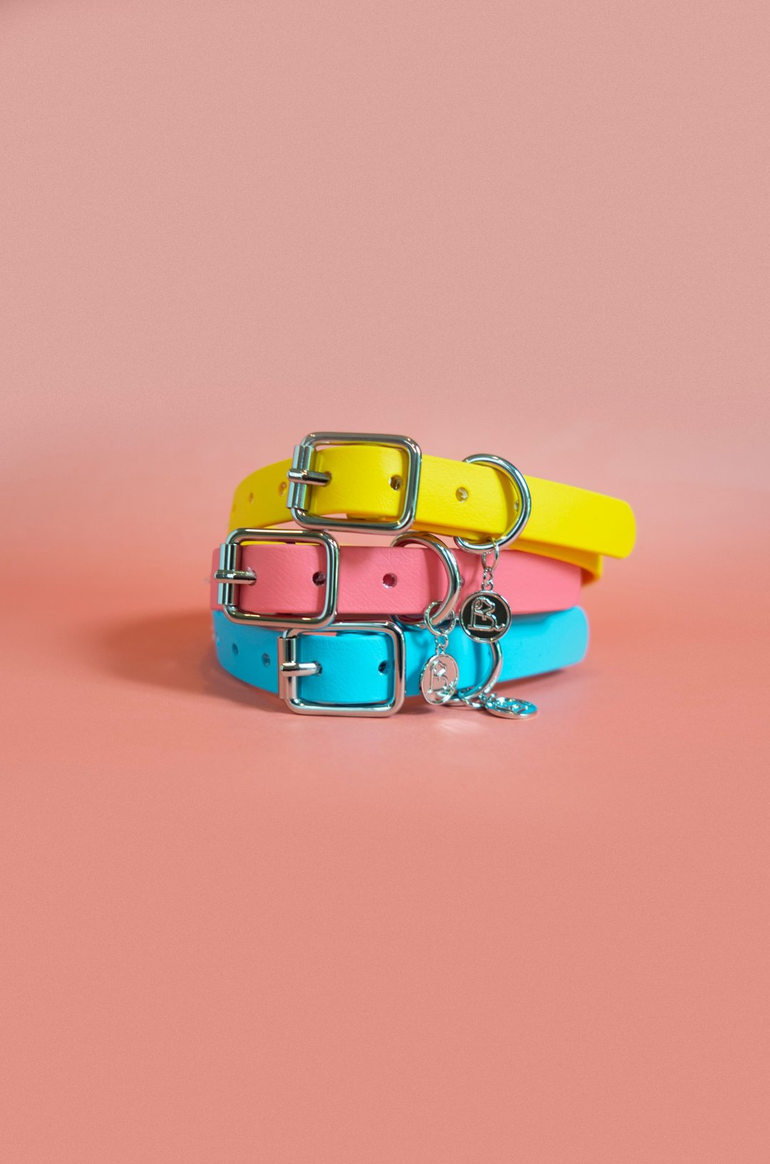 Buckle collar - 项圈/牵绳 - 防水材质 