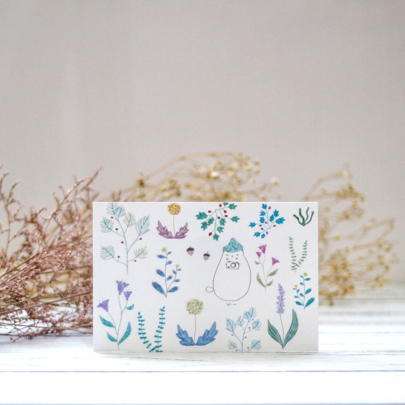 猫绿色＿植物新生活 / 明信片 - 卡片/明信片 - 纸 绿色