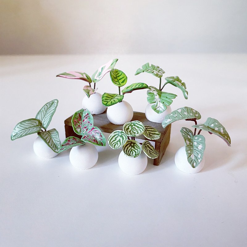 接单制作款 迷你观叶植物 球型水泥盆植栽摆饰 。仿真黏土植物 - 植栽/盆栽 - 粘土 绿色