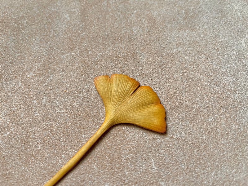 Yeebee-银杏叶的祝福 书签(长梗) - 书签 - 真皮 