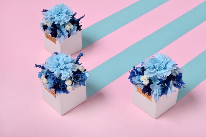 母亲节 / FORi Flower / 小乐园 / 永生花 - 摆饰 - 植物．花 粉红色