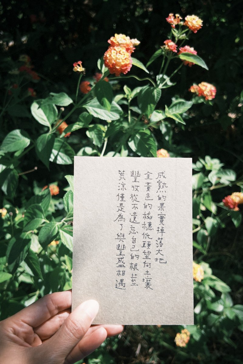 荒凉是为了与丰盛相遇 文字明信片 - 卡片/明信片 - 纸 