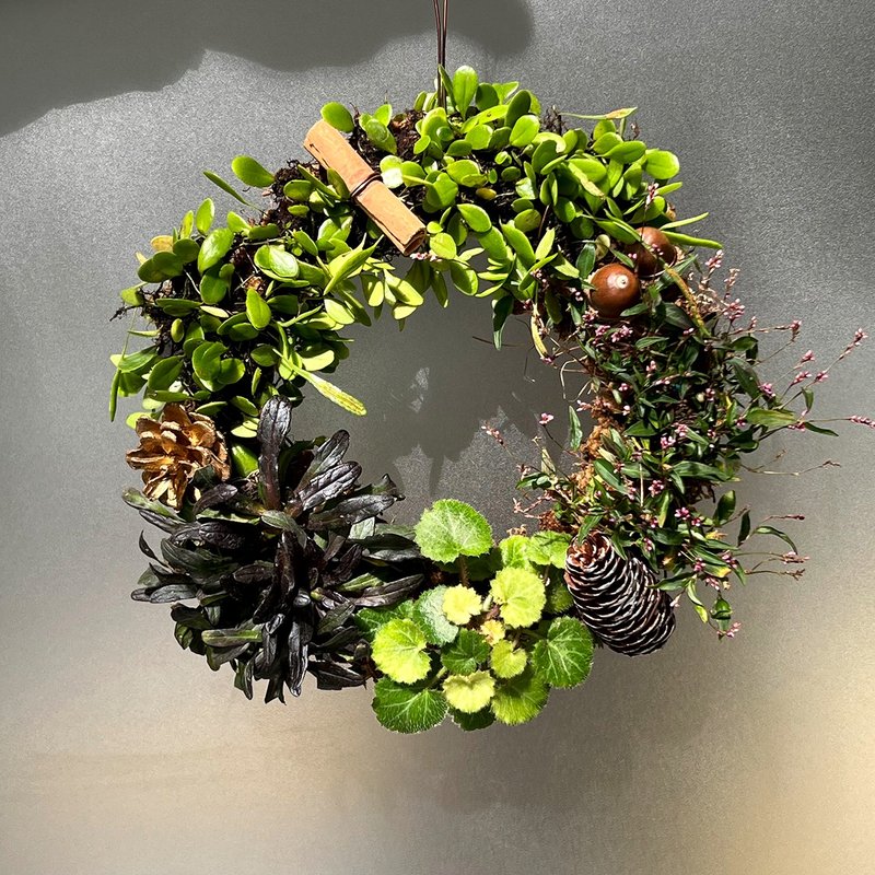 山野草花圈∣日本虎耳草 伏石蕨森林花圈 - 植栽/盆栽 - 植物．花 