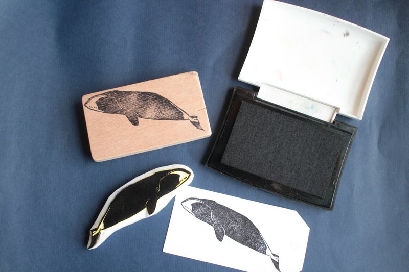 鲸豚印章 弓头鲸 - 印章/印台 - 橡胶 灰色