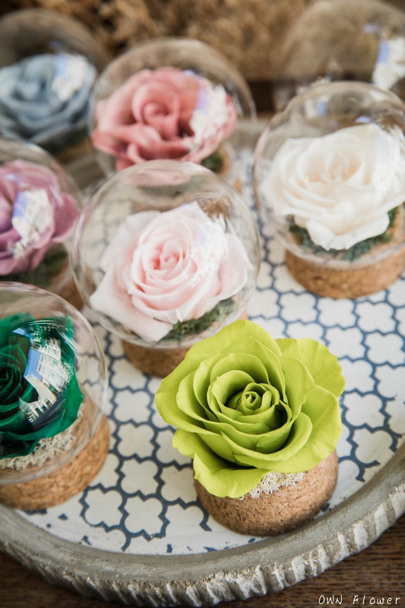 永生花玻璃球/玻璃花球/永生花盅/不凋花盅/永生花礼/毕业礼物/花 - 干燥花/捧花 - 植物．花 绿色