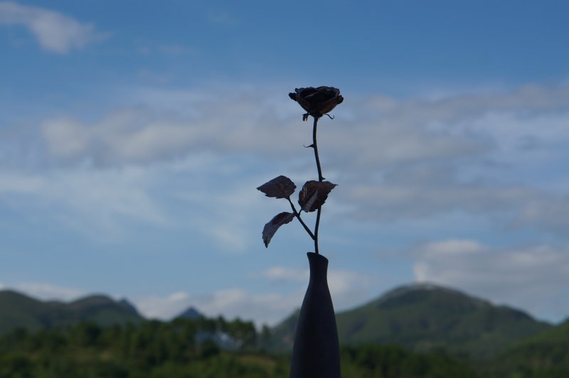 溪山手作-传统手工紫铜玫瑰花摆件插花艺术软装饰品可定制 - 摆饰 - 铜/黄铜 