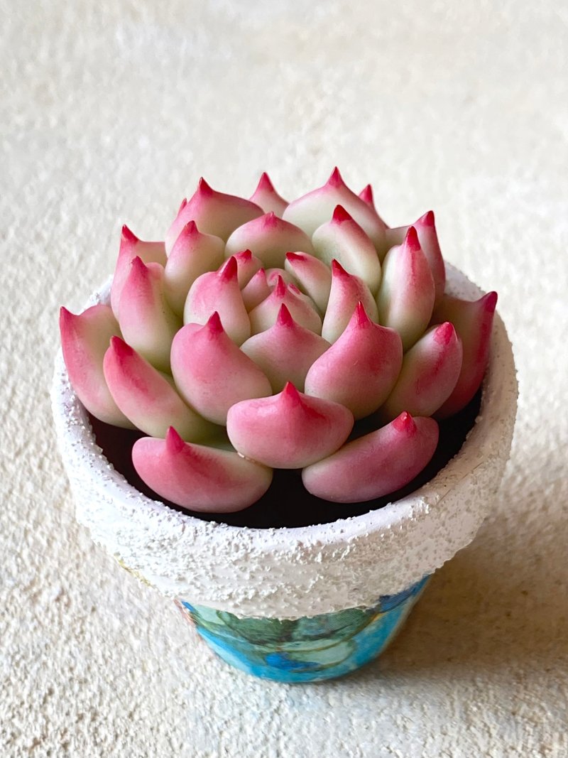 粘土多肉课程 桃太郎的制作方法 - 手工艺教程/工具书 - 其他材质 