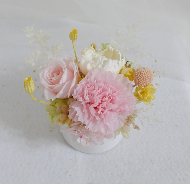 母节亲永生康乃馨盆花  结婚捧花永生干燥花情人节生日礼物花束七 - 干燥花/捧花 - 植物．花 粉红色