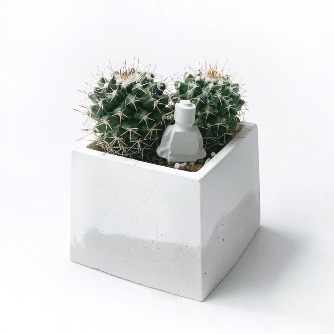 (预购) 白灰渐层系列 | 白金刚 赠小机器人 方形水泥仙人掌植栽 - 植栽/盆栽 - 植物．花 灰色