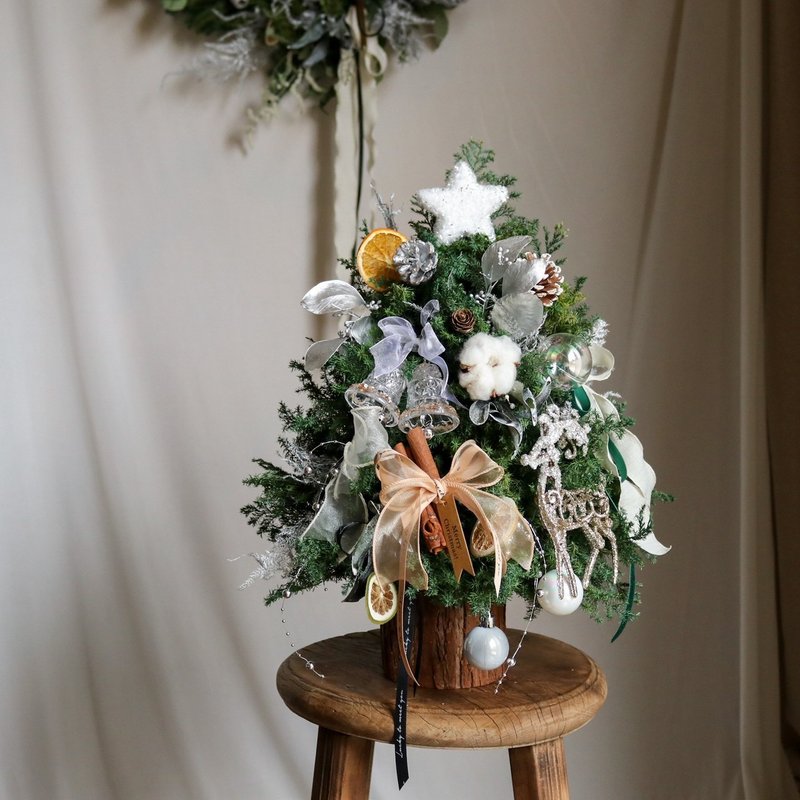 【遇见恒久】浪漫冬日日本进口永生不凋雪松圣诞树 - 干燥花/捧花 - 植物．花 