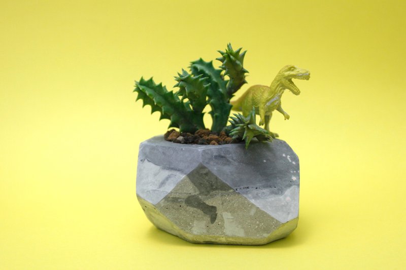 水泥盆器 多肉植物 -长方几何 - 植栽/盆栽 - 水泥 多色
