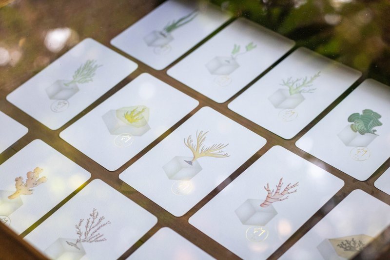 琅茶原创典藏 | 茶谕卡 Formosa Tea Oracle Card - 卡片/明信片 - 纸 