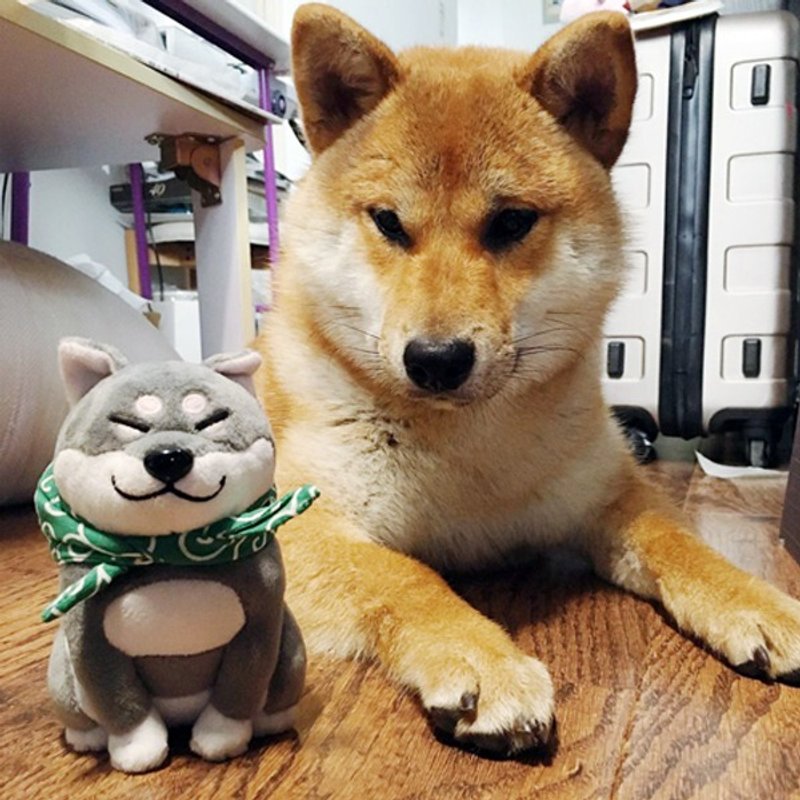 仓屋 大屁屁 柴犬公仔/摆件 毛绒玩偶 包袱布兜款 - 摆饰 - 聚酯纤维 橘色