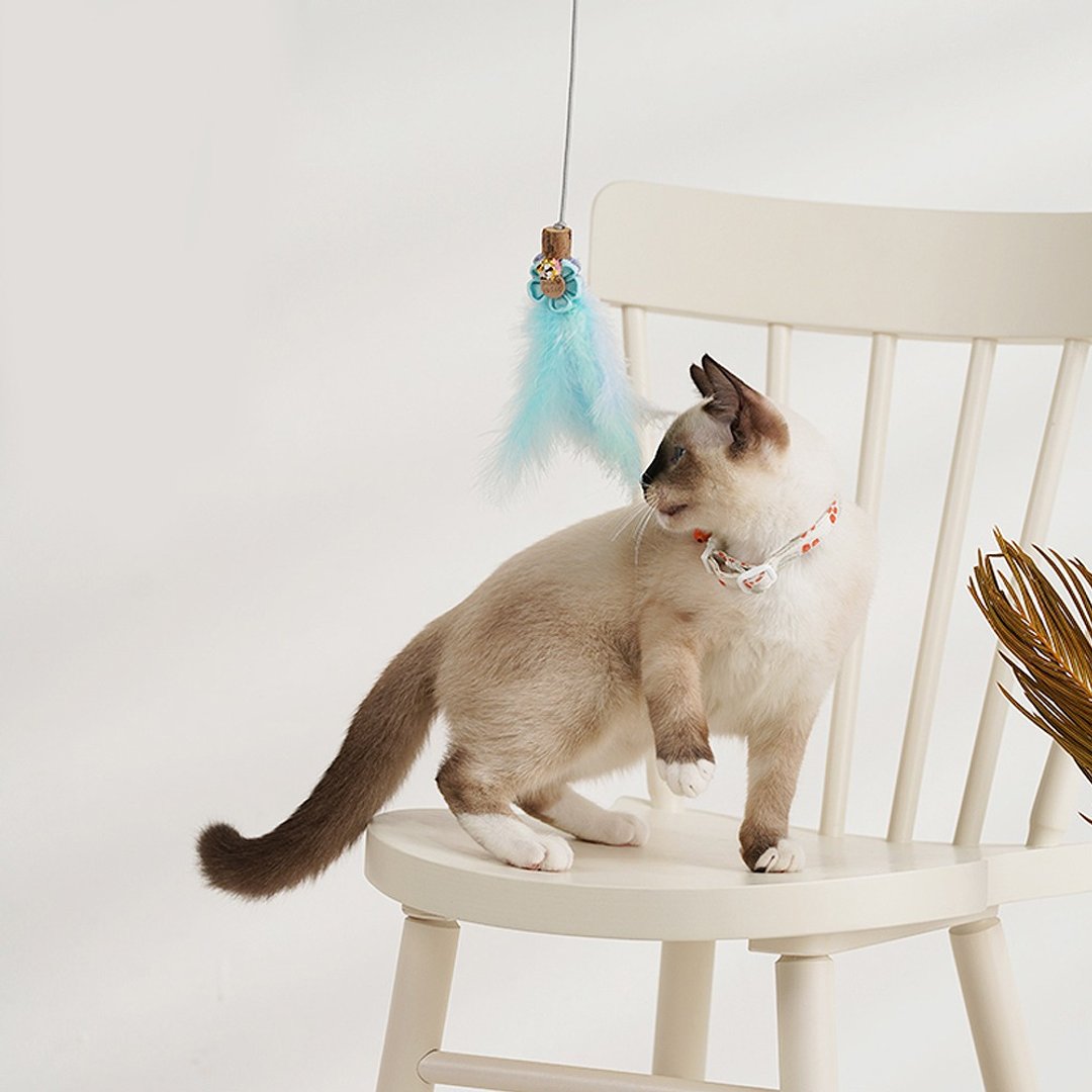撩猫神器/可伸缩/可替换 | 手工逗猫棒-薄荷羽毛 Pawsholic爪迷 - 玩具 - 其他材质 