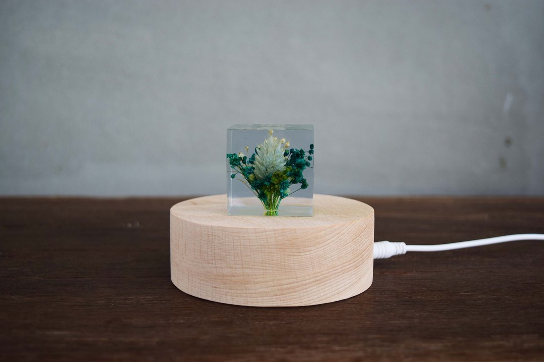 梦天涯蒲公英冰砖 - 燥花植物标本 (4cm) - 摆饰 - 树脂 白色