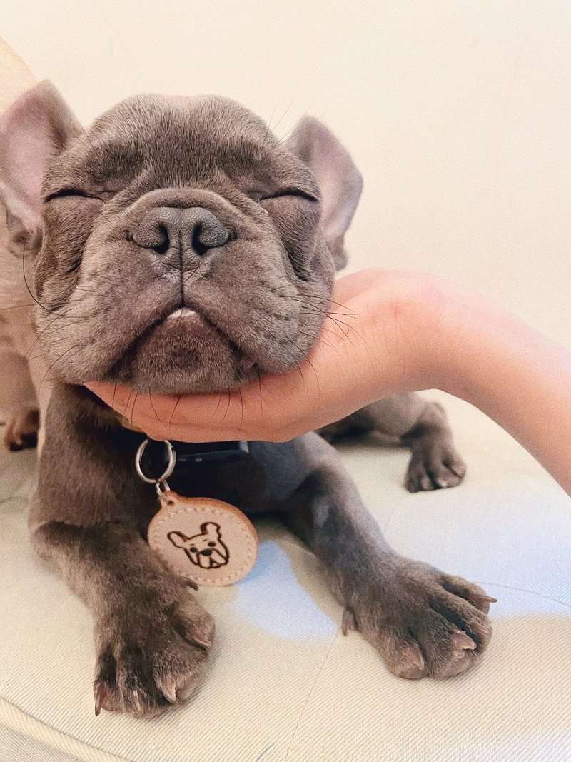 【客制】多色两用手绘刻图牛皮锁匙扣/宠物名牌 - 钥匙链/钥匙包 - 真皮 多色