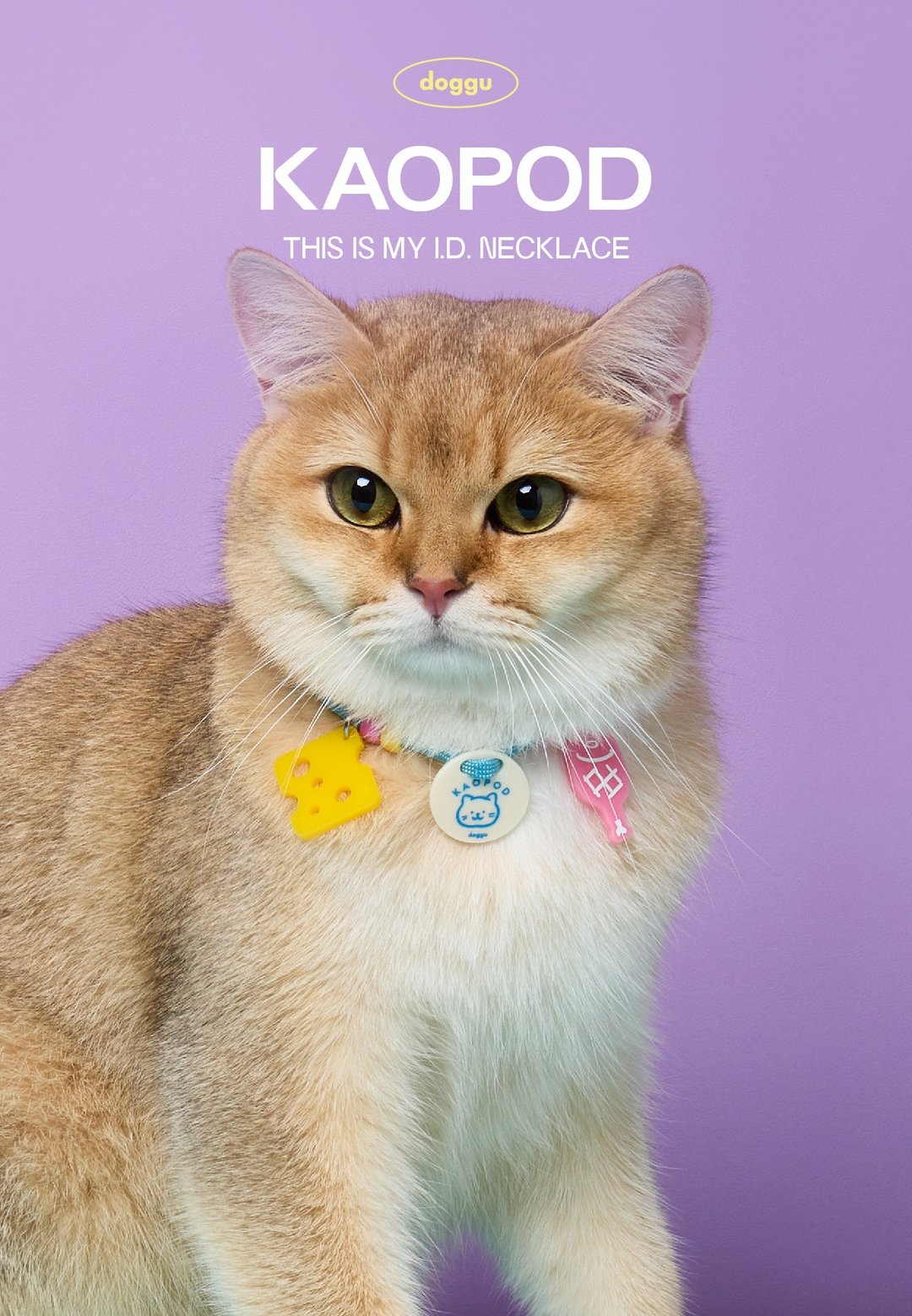 定制化 id 标签 - 彩色松露绳狗猫项链输入您宠物的图画和编号。 - 项圈/牵绳 - 防水材质 多色