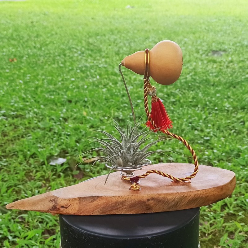 【福到兴旺】 葫芦/植物木头底座/空气凤梨 - 植栽/盆栽 - 木头 卡其色