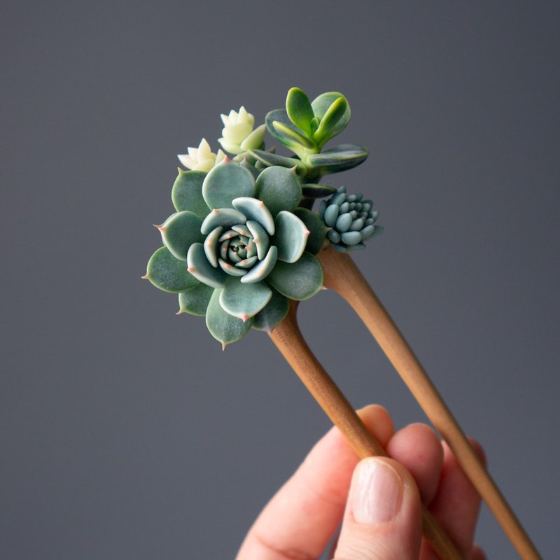 木质发簪搭配仿真 Chihuahua 拟石莲 - 发饰 - 其他材质 