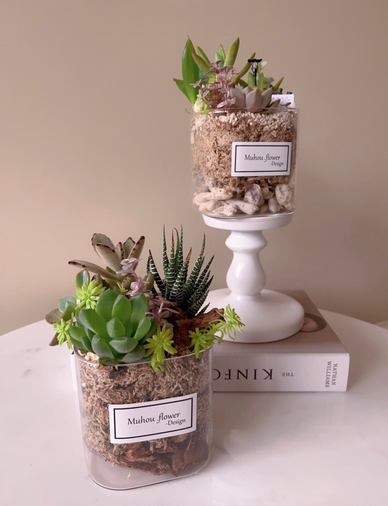 | 桃园青埔 | 企业教学 联名合作 植栽无土多肉手作课程-绿沐 - 植栽 - 植物．花 