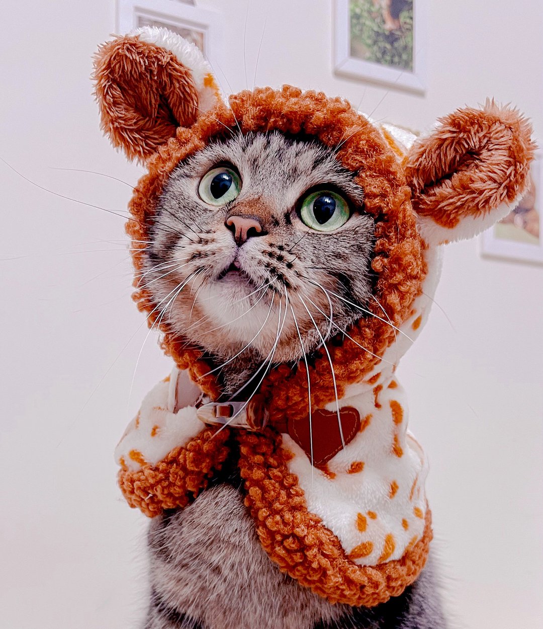 (10%捐公益)披着萌皮的猫系列_牛角扣连帽披肩(豹豹虎) - 衣/帽 - 棉 咖啡色