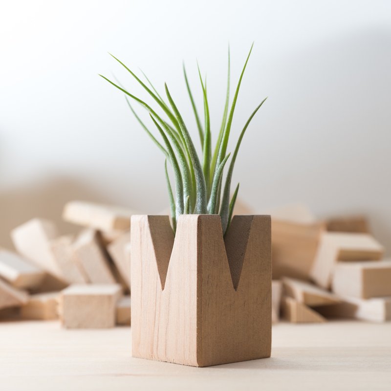 积木空凤第二弹 - 猪脚凤梨 - 植栽/盆栽 - 木头 绿色