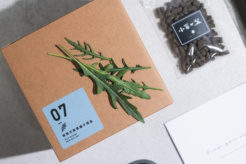 07裂叶芝麻叶种子_入坑礼物盒 - 墙贴/壁贴 - 植物．花 