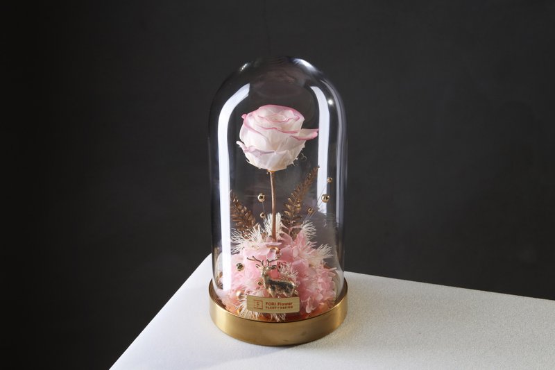 FORi Flower花里 / MAKE A WISH-永生花 / 钟罩玫瑰 - 摆饰 - 植物．花 