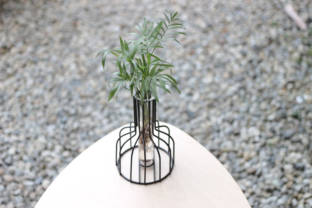 水培植栽│袖珍椰子_室内植物 办公室盆栽 店内布置 - 植栽/盆栽 - 玻璃 
