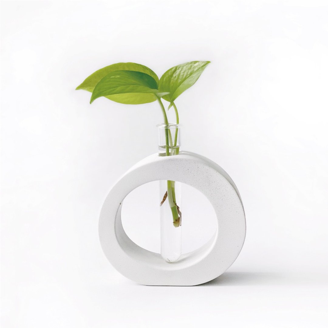 纯灰系列 | 莱姆黄金葛 室内水培植栽 圆圈水泥水耕花架 - 植栽/盆栽 - 植物．花 灰色