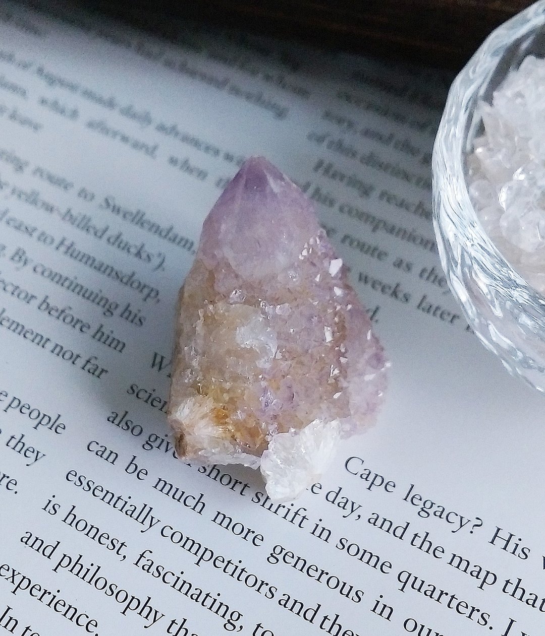 Cactus Amethyst 南非产地 仙人掌紫水晶 天然矿石 原矿 - 摆饰 - 其他材质 
